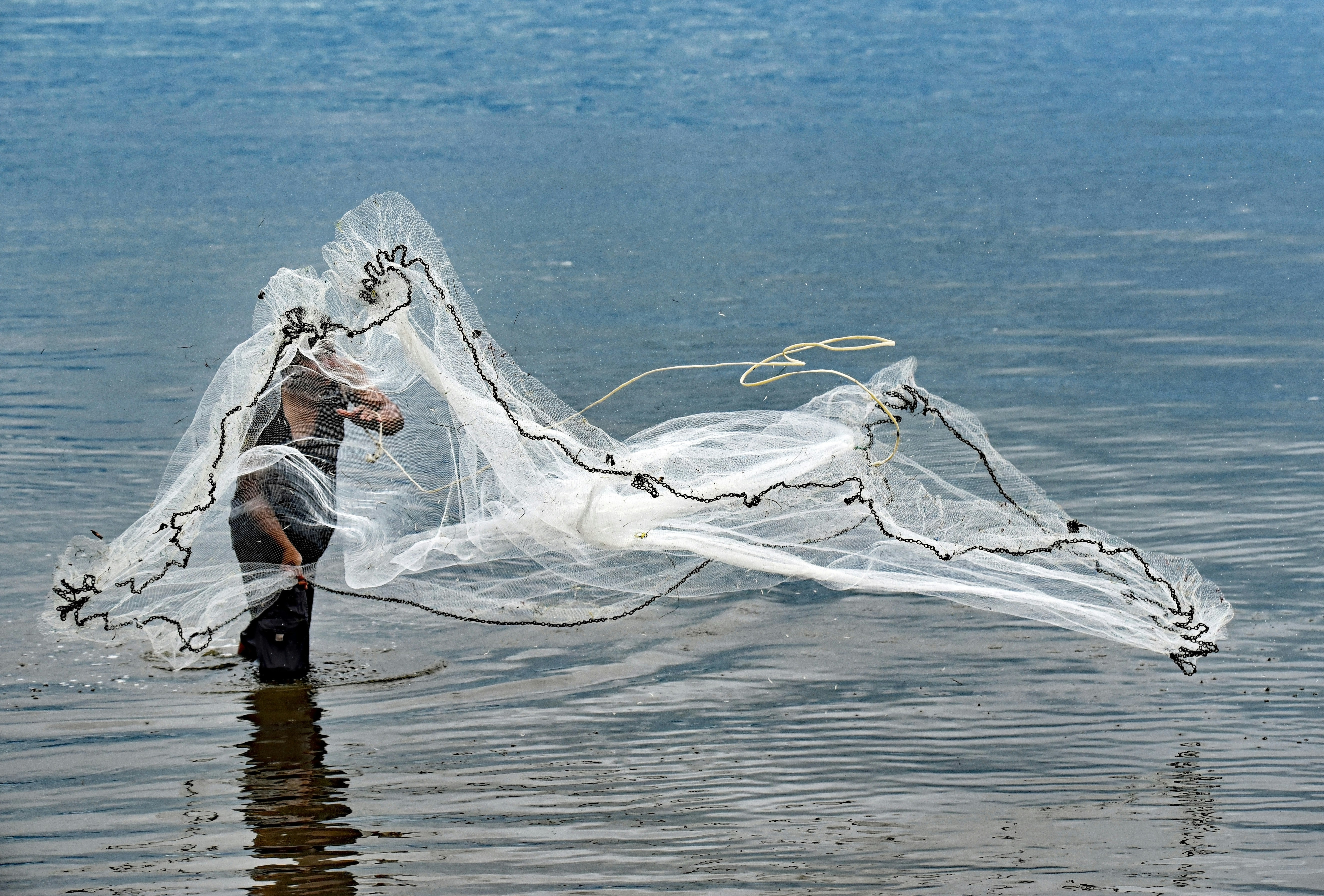 person throwing white fish net on body of water